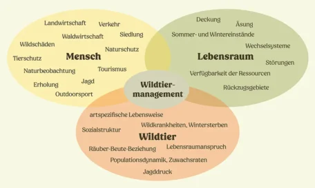 Wildtiermanagement